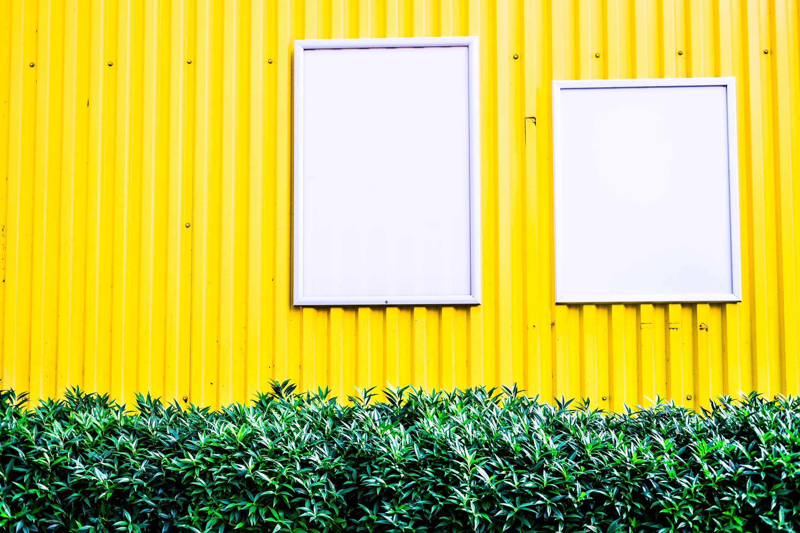 What should I post for my business on social media? 10 different types of content you can post